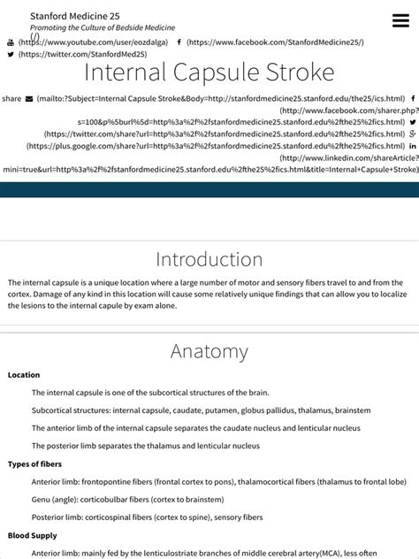 Internal Capsule Stroke | Stanford Medicine 25 | Stanford Medicine | Cerebral Cortex | Brain