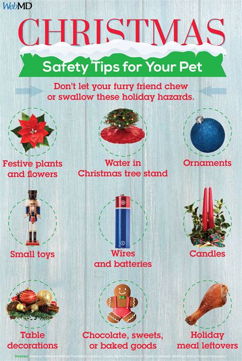 Dogs Christmas Tree Safety