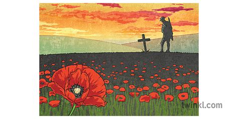 WW1 Poppy Field Remembrance Day KS2 - Twinkl