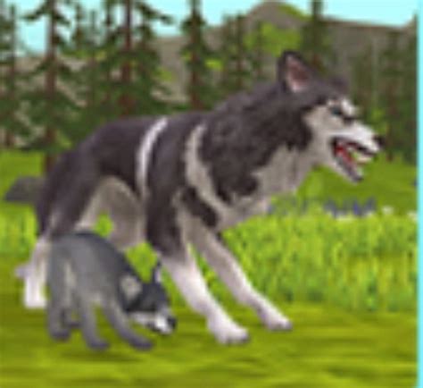 Вилд крвфт | Wiki | 😁Вилд Крафт🌠 Amino