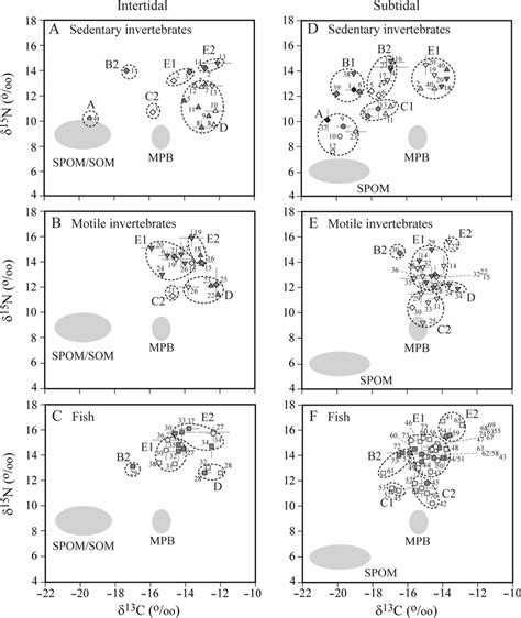 Dual Plots Of Mean δ13c And δ15n Values For Sedentary And Motile