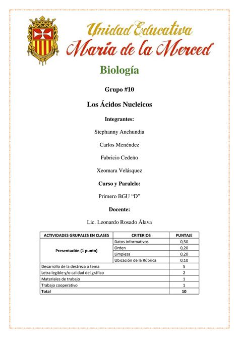 SOLUTION Los Cidos Nucleicos Exposicion Biolog A Studypool