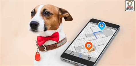 Mejor Localizador Gps Para Perros Los Recomendados