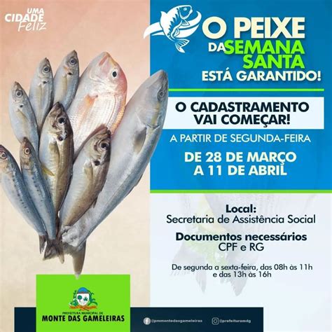 Prefeitura Municipal De Monte Das Gameleiras Cadastramento Para