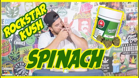 Rockstar Kush By Spinach Legal Weed Reviews With Mike Rita Youtube