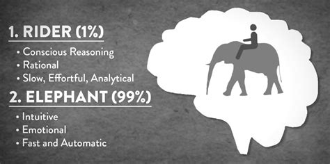 Rider Conscious Elephant Subconscious Analogy Subconscious