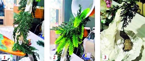 Чаша Изобилия своими руками | DIY - как сделать самому!