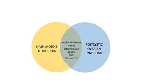 Hashimotos And Pcos What Is The Connection Dr Shabnam Das Kar Md