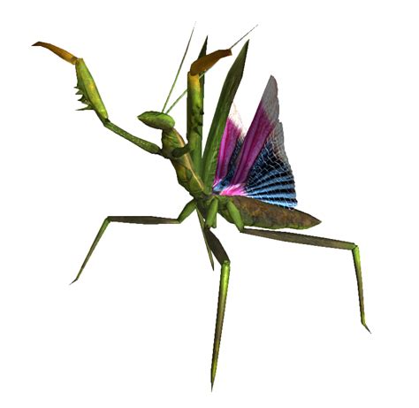 Mantis Png