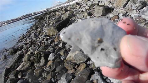 Fossils Tin Can Beach Saint John NB March 1 2019 Atlatle Point Maritime