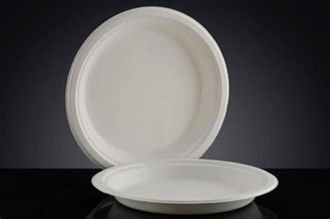 White Plain Biodegradable Round Paper Plate For Utility Dishes At Rs 1