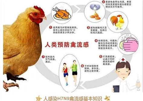 【权威通报】常德市暂未出现人感染h7n9禽流感病例 H7n9禽流感 流感病毒 感染 新浪新闻