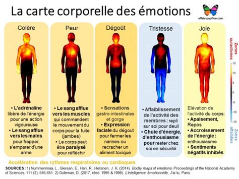 Comprendre nos émotions Effets Papillon