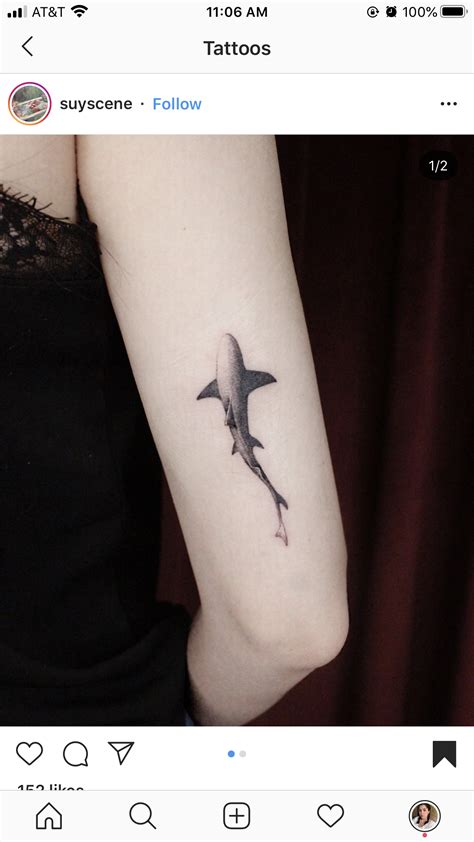 Shark tattoo | Shark tattoos, Whale tattoos, Stomach tattoos