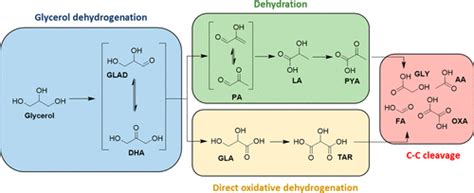 Investigating Catalytic Properties Which Influence Dehydration And