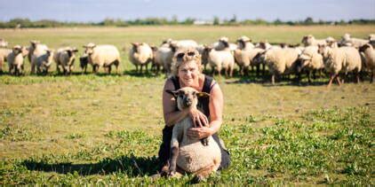 L agneau des prés salés du Mont Saint Michel à quelle saison doit on