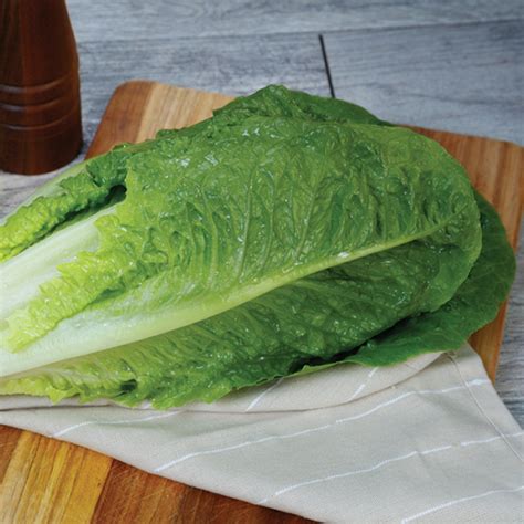 Lettuce Romaine Freshheart Lettuce Horticultural Products And Services