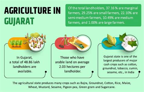 Top Crop Producing States In India Leading Agricultural States