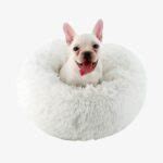 Coussin Apaisant Chien Et Chat Anti Stress Relaxant Daisypets