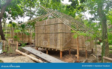 Building a Bamboo Hut in Tropical Forest in Thailand Stock Image ...