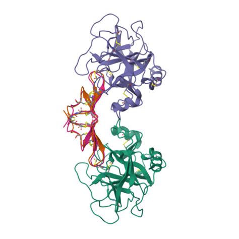 RCSB PDB 1D6R CRYSTAL STRUCTURE OF CANCER CHEMOPREVENTIVE BOWMAN