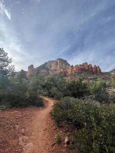 10 Best Easy Trails in Coconino National Forest | AllTrails