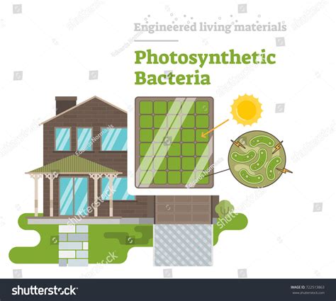 Photosynthetic Bacteria Engineered Living Material Stock Vector