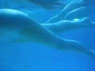 Naked Janet Wood In Slumber Party