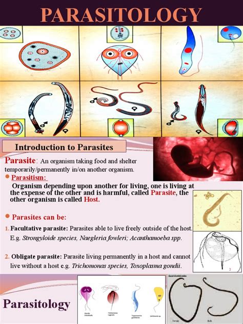 Parasitology Pptx Pdf