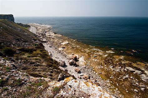 Nature photography: Gotland 2013 May