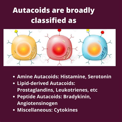 Autacoids- Histamine, Serotonin and Prostaglandins > PharmaCampus