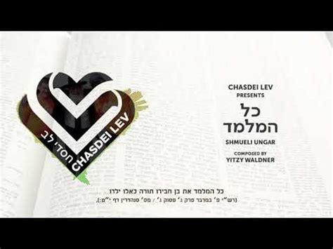 Shmueli Ungar FIRE Official Music Video שמילי אונגר פייער