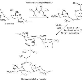 A Comprehensive Insight From Microalgae Production Process To