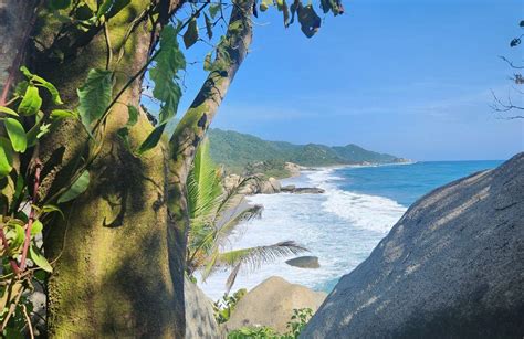 Best hikes and trails in Tayrona National Natural Park | AllTrails