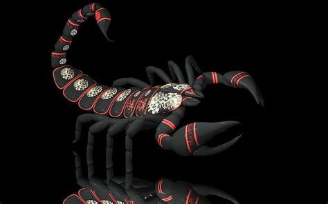 Scorpio Zodiac Black Scorpion Hd Wallpaper Pxfuel