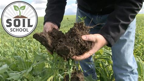 Soil School What Makes A Healthy Soil Youtube