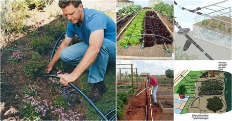 Diy Drip Irrigation For Vegetable Garden 13 Diy Options For A Drip