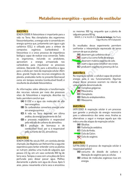 Questões Sobre Metabolismo Energético - Metabolismo Energético: Questões de Vestibular | PDF | Fotossíntese ...
