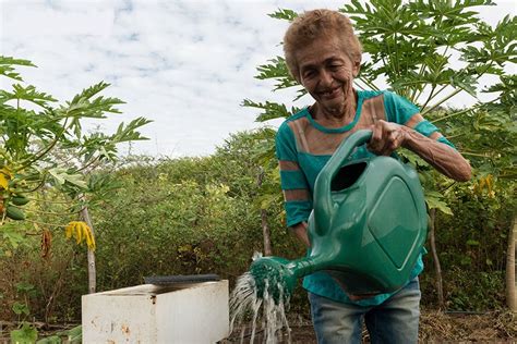 Bndes E Fundo Da Onu Lan Am Edital De R Bi Para Seguran A Alimentar