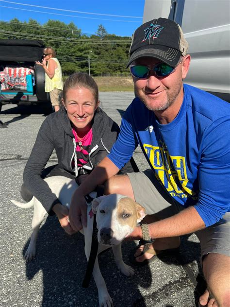 RescueVet Pet Transport added a... - RescueVet Pet Transport