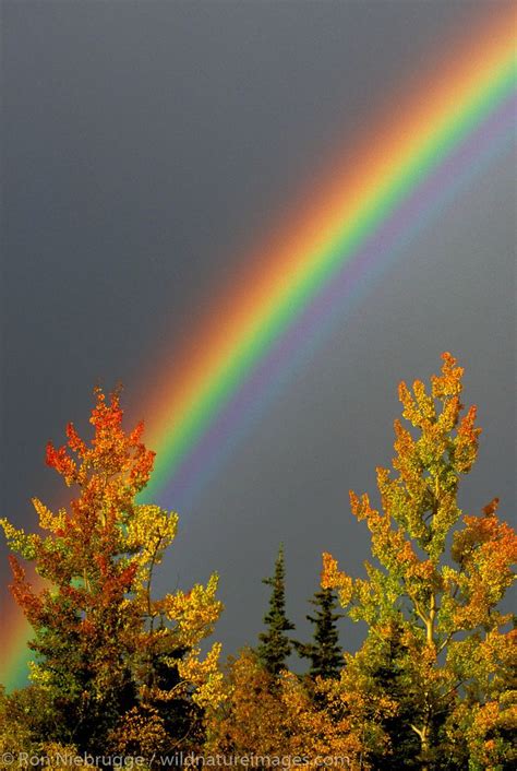 Fall Rainbow Photo Rainbow Photography Rainbow Pictures Rainbow Sky