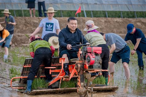 “播种”希望种子 收获友好果实——中国驻朝鲜大使馆赴中朝友好农场支农