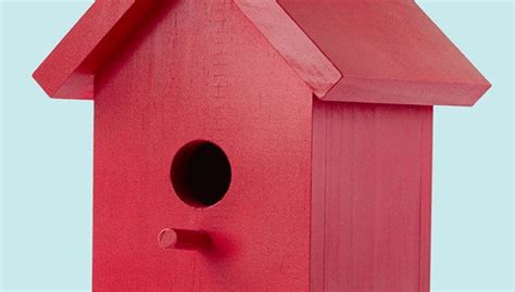 Elegant Red Bird House Plans - New Home Plans Design