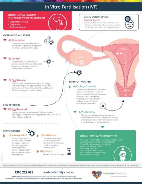 Ivf In Vitro Fertilisation Rainbow Fertility