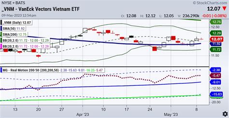 Stock Picks from the 2023 Market Outlook - See It Market