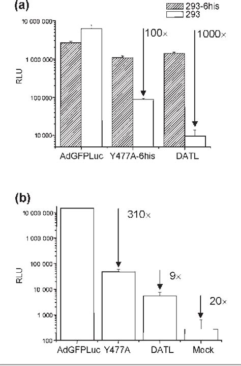 Figure 2 From Role Of The Putative Heparan Sulfate Glycosaminoglycan