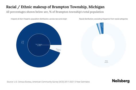 Brampton Township, Michigan Population by Race & Ethnicity - 2023 ...