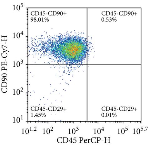 The Identification Of Msc By Flow Cytometry And The Schematic