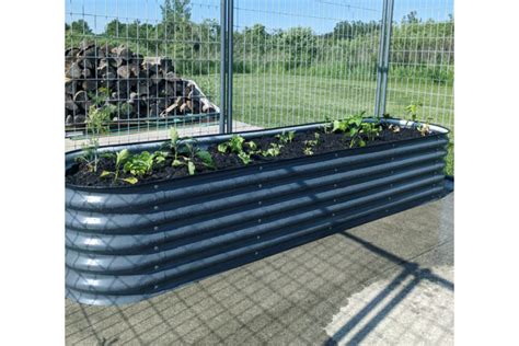 Metallic Marvels Galvanized Raised Bed Planters Redefine Garden Aesthetics