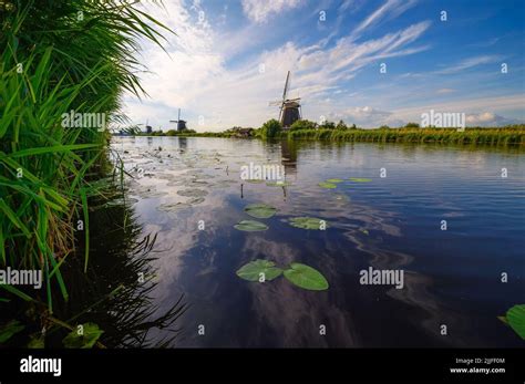 Historic Windmills And A River Flowing By In Kinderdijk Netherlands